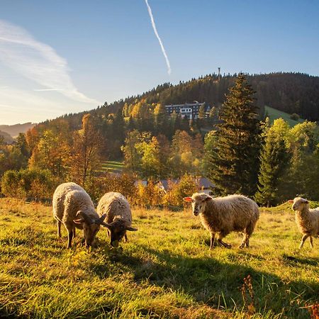 Spa Hotel Lanterna Velké Karlovice المظهر الخارجي الصورة